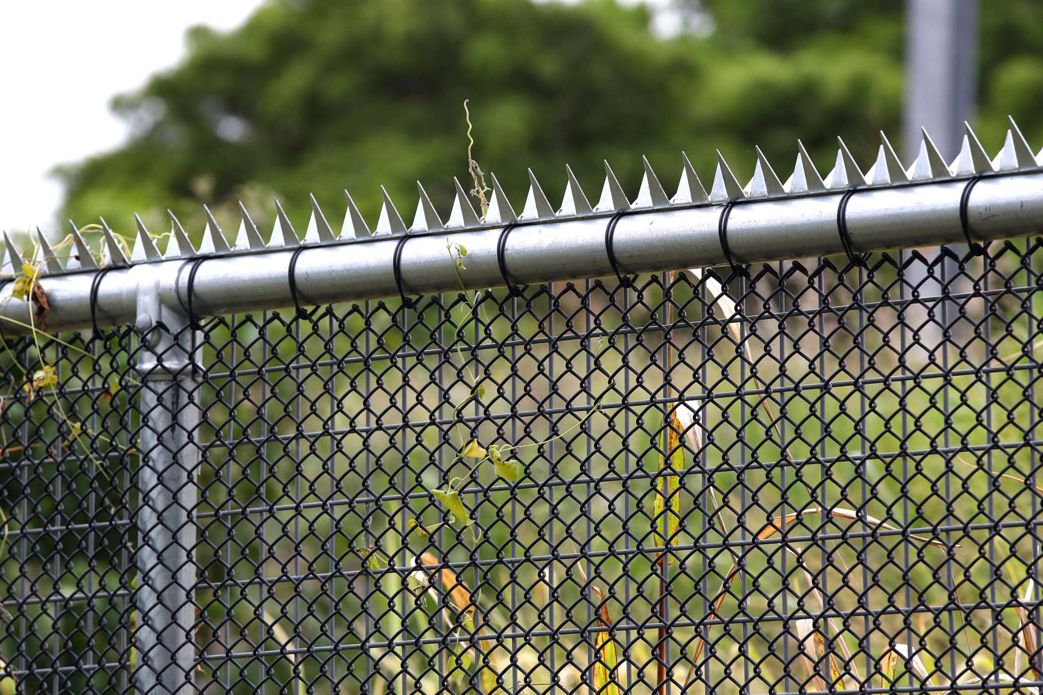 Fencing Brisbane Commercial & Industrial RYNO Fencing